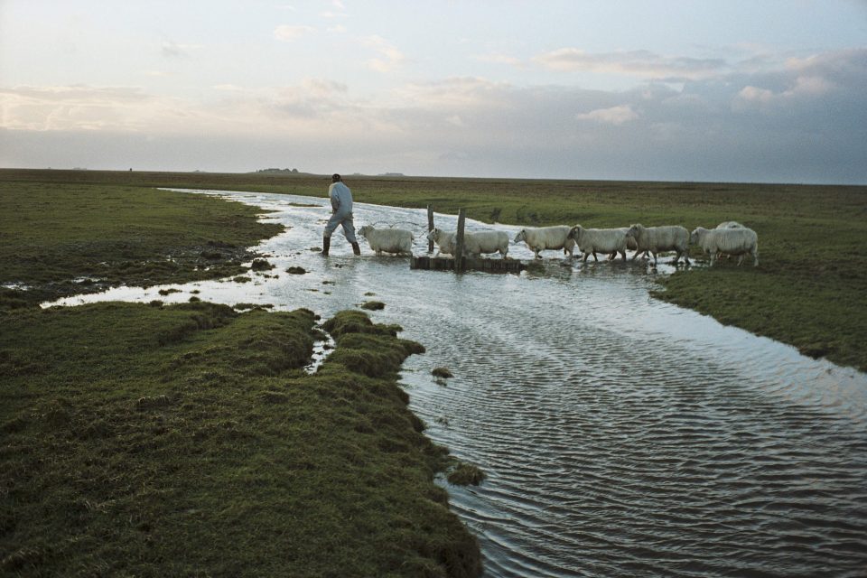 Image source: https://www.collectifargos.com/en/series/climate-refugees/